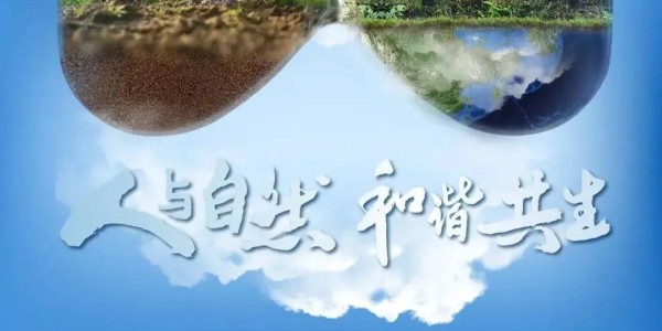 蜘蛛直播app下载-“东北超”哈尔滨队，征集logo！